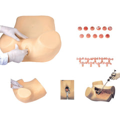 Gynecological Model F30S